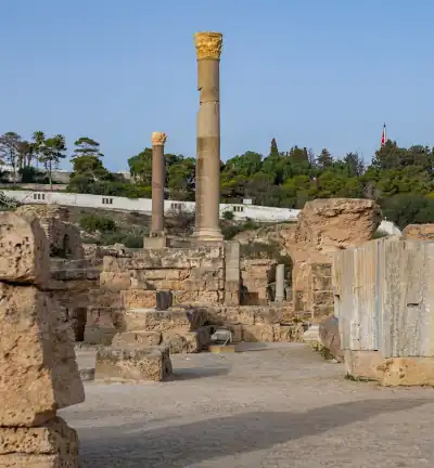 Archaeological Site of Carthage with ancient Roman ruins overlooking the Mediterranean Sea, accessible by private transfer