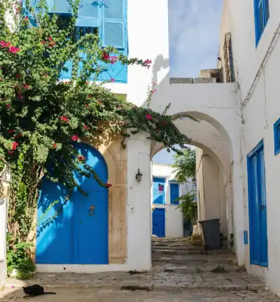 Sidi Bou Saïd village with white‑and‑blue houses overlooking the Mediterranean Sea, accessible by private transfer
